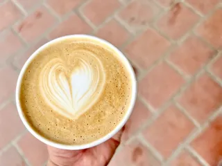 Bear Coast Coffee