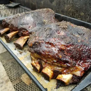 Giant Angus Beef Ribs