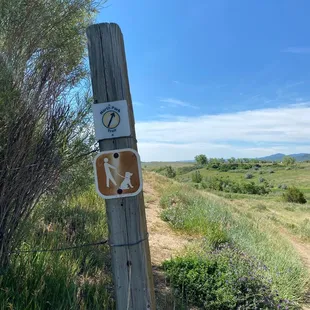 I usually start my run on this trail