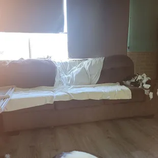 My old sofa that my cat, tiger &amp; dogs Hazel &amp; Liza attacked.