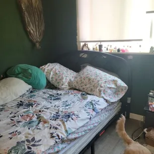 New furniture from Bear Creek Furniture.  Now my sister has a better bed, from frame to boxspring &amp; mattress.  Thanks Mike