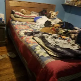 I love this bed frame specifically meant for me. My bedroom is not that big and this is just perfect for me