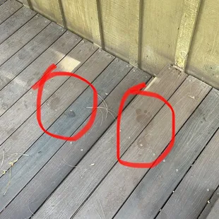 Foot prints outside of the shower window.