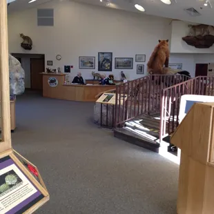 Inside the nature center
