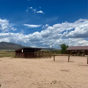 So gorgeous out! Little mini horse corral