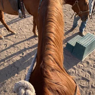 POV watching Connor explain how to get on the horese