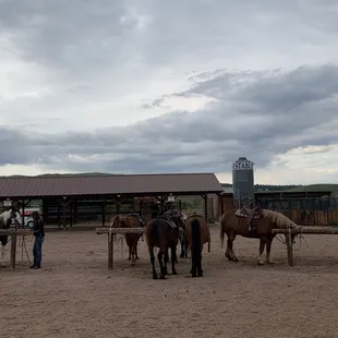 The clean corral
