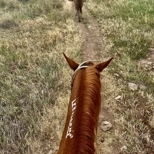 Part of the trail, through the ears