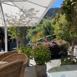 view