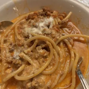 Bison Bolognese