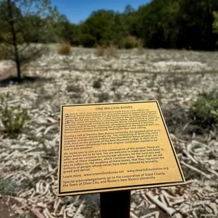Art installation along the nature trails