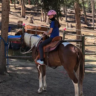 Ember was a great horse.
