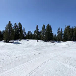 The pristine runs (4.1.2022)