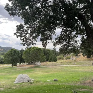 Golf view