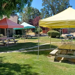 picnic tables and umbrellas