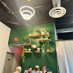 Plants and decor