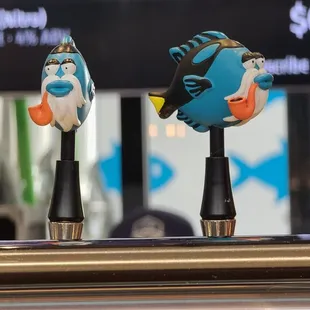 Bearded Tang  05-15-2022