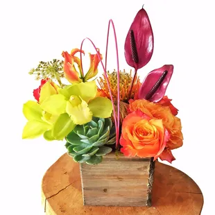 Mixed Bright with Succulents.