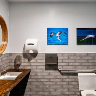 a bathroom with a toilet and a sink