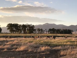 Zapata Ranch: A Nature Conservancy Preserve
