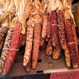 Decorative corn