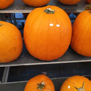 Pumpkins