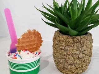 Gator Ice Cream