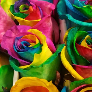Rainbow Roses now available in store!