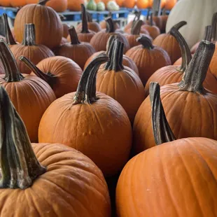 Beasley's Farm Market