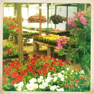 Plant lovers unite.