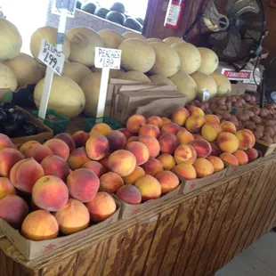 Greatest peaches ever!