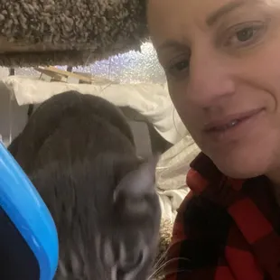 charlie and jessica the owner