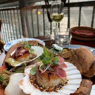 Scallops with iberico ham