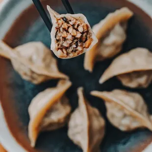 Mushrooms dumplings