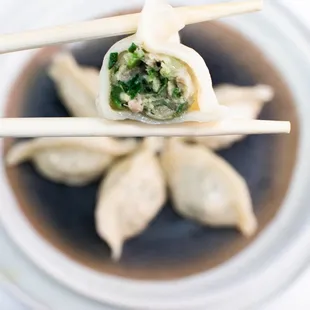Napa Pork Dumplings