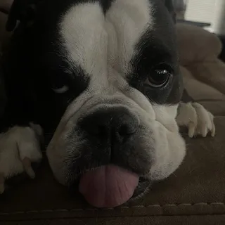 J M.