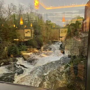 The view