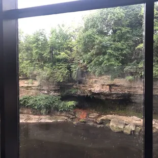 River view