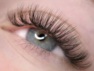 Katrina's Aesthetics