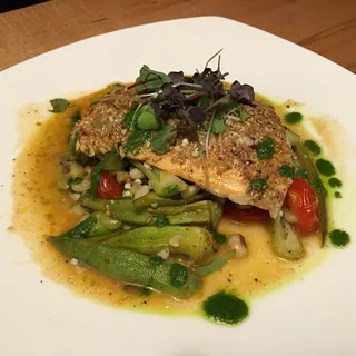 Fish of the Day  Daily Choice Cut