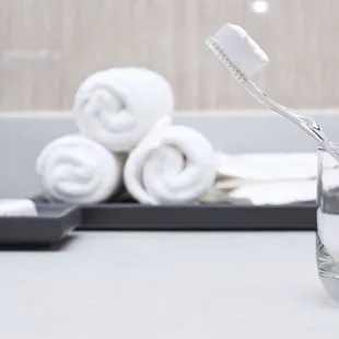 MH BeaverDamInn BeaverDam KY GuestRoom Bathroom