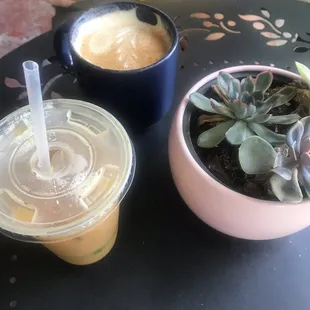 Jasmine and Cinnamon drink