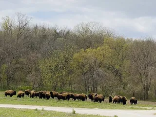 Lee G. Simmons Conservation Park & Wildlife Safari