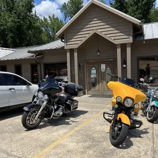 outside, oysters and mussels