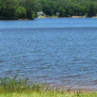 a woman standing in front of a lake