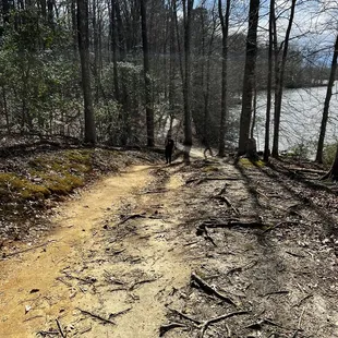Hiking trail