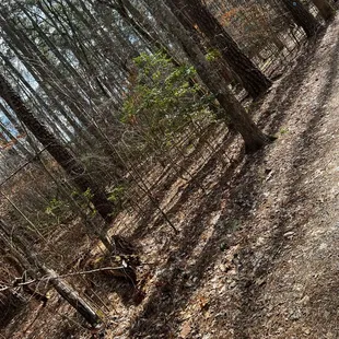 Multi use trail