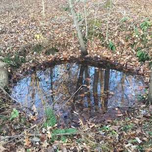 Big Foot&apos;s bathtub?
