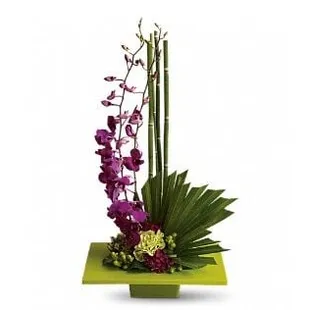 Bebb's Flowers