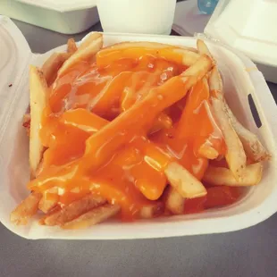 Cheese fries